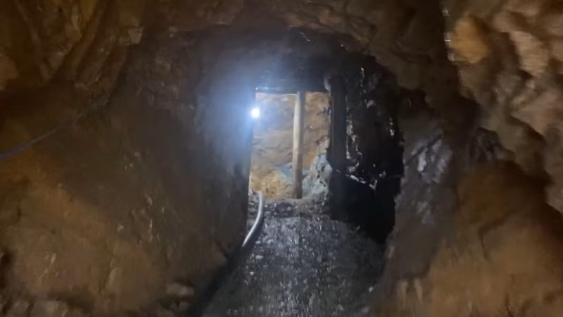 Các đối tượng đào núi, khoét hầm để khai thác vàng trong rừng trồng keo tại núi Đá Ghe