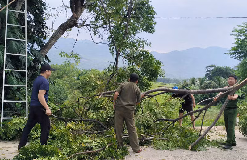 Các lực lượng vũ trang huyện Tiên Phước cắt tỉa cây xanh đề phòng ngã đổ gây mất điện, ách tắc giao thông.