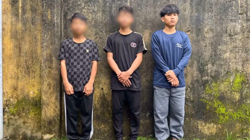 Công an huyện Nam Trà My tạm giữ 3 đối tượng trộm sâm Ngọc Linh.