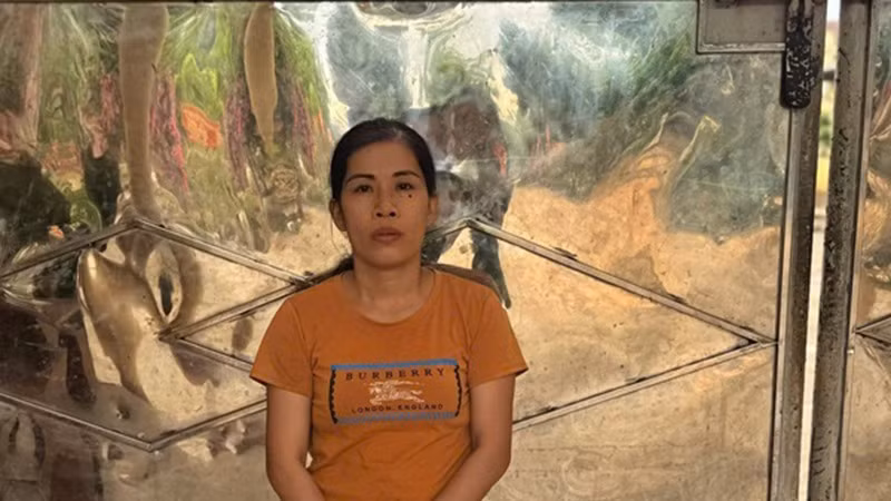 Công an tỉnh Quảng Nam tạm giữ hình sự đối với Nguyễn Thị Hoài để điều tra về hành vi “Giết người”.