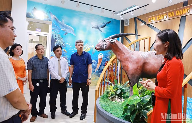 Các đại biểu tham quan khu trưng bày, giới thiệu ngành động vật tại Bảo tàng đa dạng sinh học tỉnh Quảng Nam.