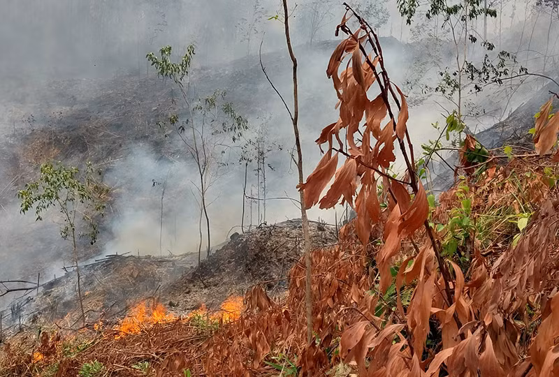 Hiện trường vụ cháy rừng gây chết người tại xã Đại Hồng, huyện Đại Lộc