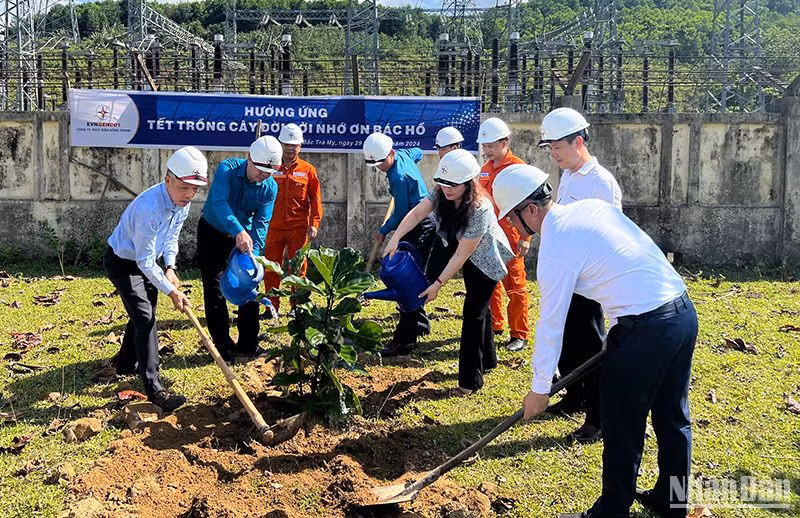 Trồng cây xanh hưởng ứng Năm phục hồi đa dạng sinh học quốc gia 2024 trên địa bàn tỉnh Quảng Nam.