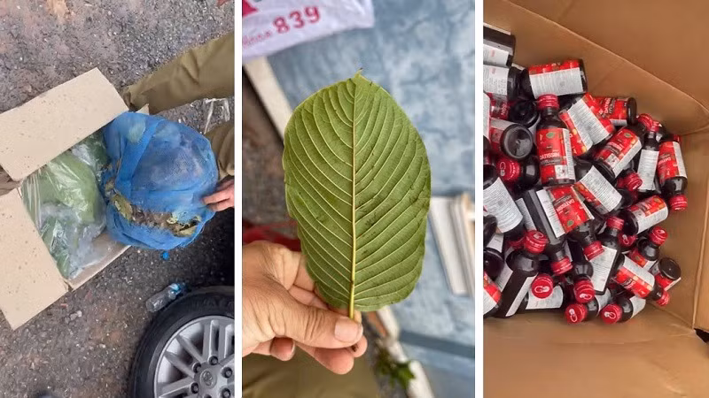 Số lá khát và nước vui bị lực lượng chức năng thu giữ. (Ảnh: Công an Điện Biên)