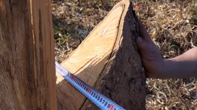 Lực lượng chức năng kiểm đếm thiệt hại do một vụ phá rừng trái pháp luật tại huyện Điện Biên, tỉnh Điện Biên.