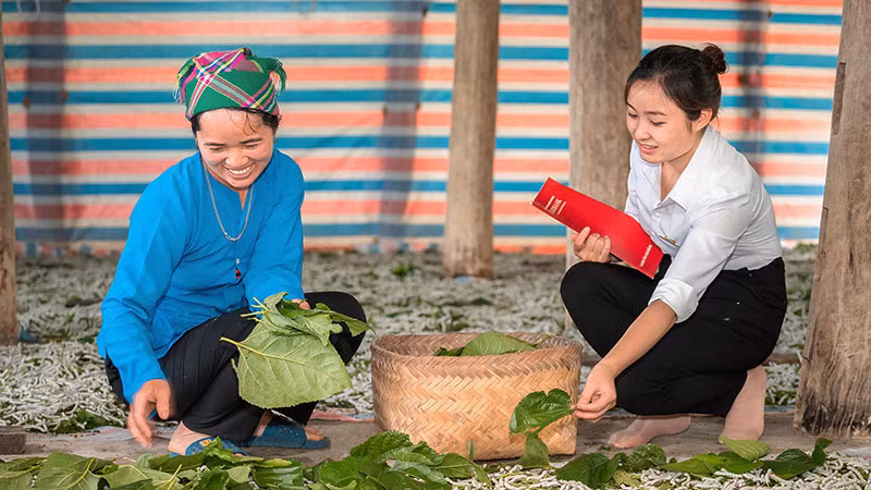 Nhân viên bảo hiểm Agribank tư vấn cho khách hàng.