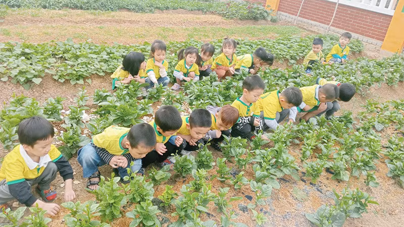 Một giờ học tại Trường mầm non Quang Châu (huyện Việt Yên, Bắc Giang). (Ảnh: ĐỨC GIANG)