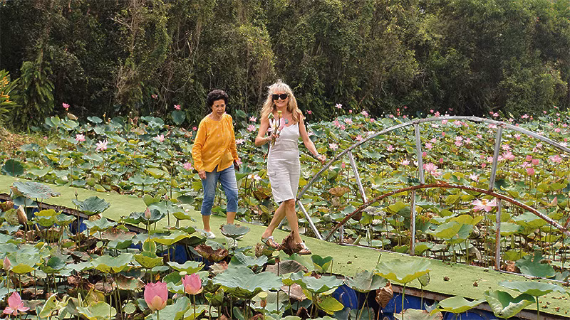 Du khách tham quan cánh đồng sen ở Tháp Mười.