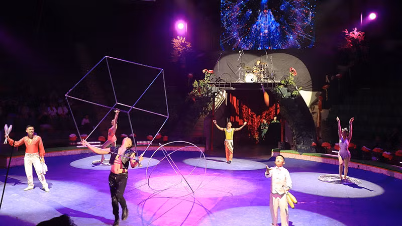 Sự kết hợp giữa xiếc và rock trong “Thiên thần lên núi” đã mang đến những màn trình diễn giàu cảm xúc. (Ảnh: MINH ANH)