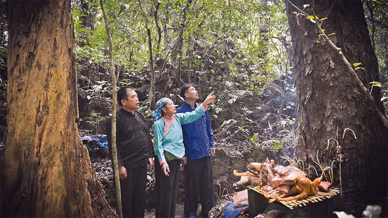 Hằng năm, rừng cấm chỉ mở hai lần trong năm (mồng 3/3 và 6/6 âm lịch), dịp này người dân mới được vào rừng làm lễ lấy củi, phát cỏ, đốn những cành cây già cỗi có nguy cơ đổ gãy.