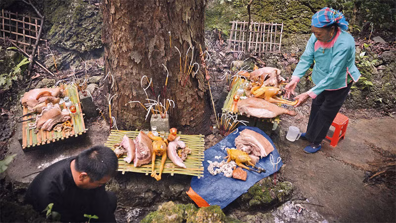 Thầy cúng tiến hành các nghi thức dưới gốc cây thiêng. Vật phẩm cúng thần rừng được lựa chọn từ những sản vật thường ngày do người dân trong bản sản xuất.