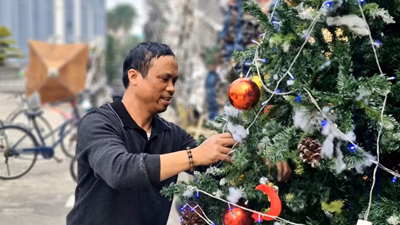 Giáo dân trang trí cây thông Noel tại Tiểu Vương cung thánh đường Phú Nhai, xã Xuân Phương, huyện Xuân Trường (Nam Ðịnh). 