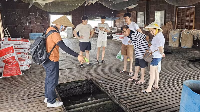 Du khách tham quan "bảo tàng cá".