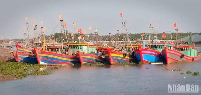 Tàu thuyền của ngư dân ven biển huyện Tiền Hải, tỉnh Thái Bình vào khu neo đậu, tránh bão số 1.
