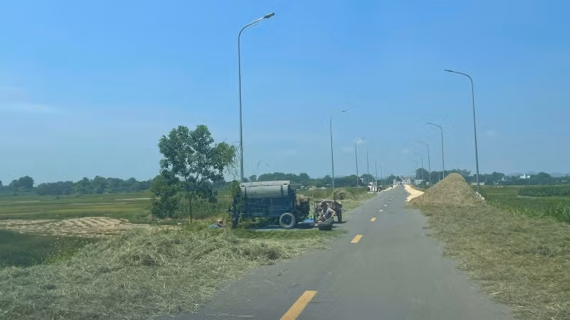 Thóc, lúa, phương tiện bủa vây lòng đường. Thóc, lúa, phương tiện bủa vây lòng đường.