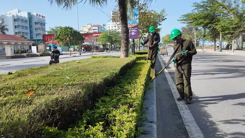 Cắt tỉa cây xanh tạo cảnh quan đô thị.