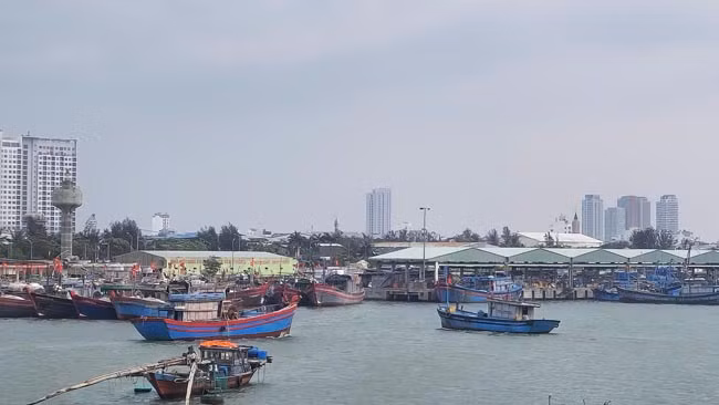 Mỗi ngày nhiều tàu cá ra vào cảng cá và âu thuyền Thọ Quang.