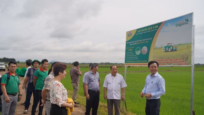 Tham quan mô hình canh tác lúa hữu cơ tại huyện Cẩm Mỹ, tỉnh Đồng Nai.