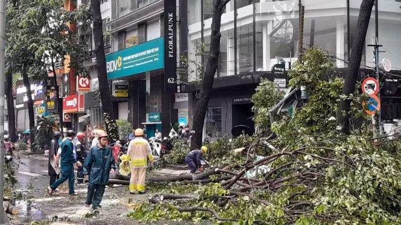 Cưa cắt và dọn nhánh cây xanh gãy rơi xuống đường Phạm Ngọc Thạch, quận 3, Thành phố Hồ Chí Minh.