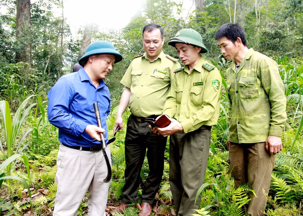 can-bo-kiem-lam-tinh-tuyen-quang-theo-doi-dien-bien-rung-tu-phan-mem-cai-dien-thoai-thong-minh.jpg