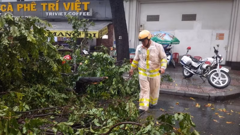 Lực lượng Cảnh sát giao thông phối hợp xử lý sự cố ngã đổ cây xanh tại Thành phố Hồ Chí Minh. (Ảnh: QUÝ HIỀN)
