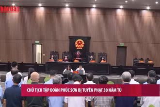 [Video] Chủ tịch Tập đoàn Phúc Sơn bị tuyên phạt 30 năm tù