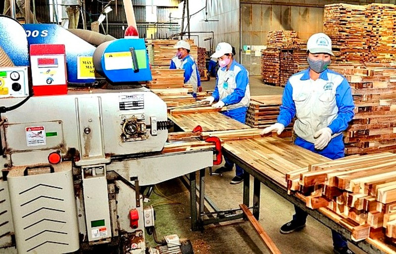 Đẩy mạnh chế biến, thương mại gỗ và lâm sản.