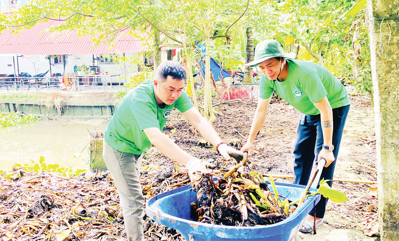 Khu vườn thí điểm của dự án "Vườn xanh cộng đồng" tại Củ Chi bắt đầu được triển khai.