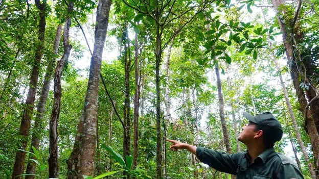 Lực lượng chuyên trách tuần tra bảo vệ rừng.