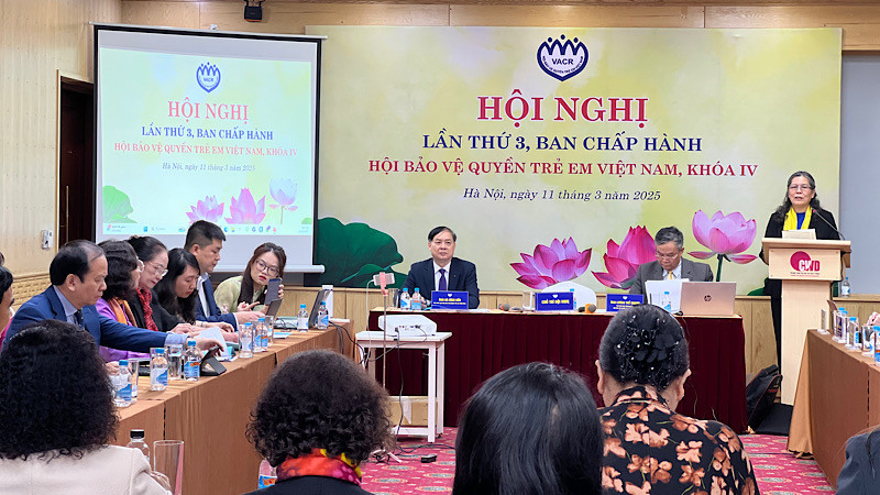 Toàn cảnh Hội nghị lần thứ 3 Ban Chấp hành Hội Bảo vệ quyền trẻ em Việt Nam, khóa IV.