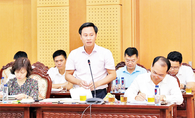 Phó Chủ tịch Ủy ban nhân dân huyện Đông Anh trao đổi ý kiến với Đoàn giám sát về thực tế tại địa phương.