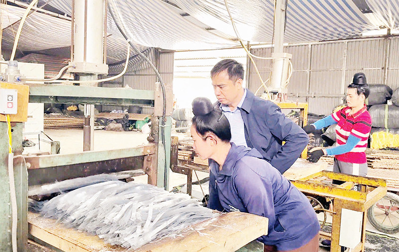 Đại diện Ủy ban nhân dân thành phố Điện Biên Phủ kiểm tra cơ sở chế biến miến dong tại xã Nà Tấu.