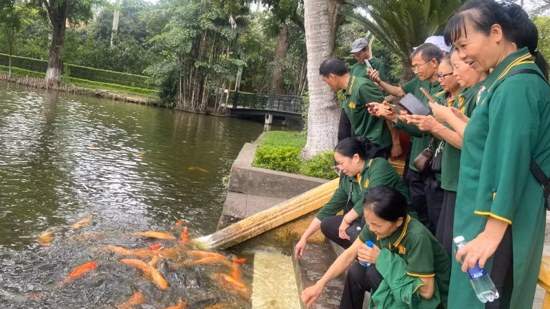 Du khách tham quan ao cá Bác Hồ. 