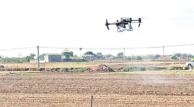Sử dụng thiết bị bay không người lái (drone) để phun thuốc bảo vệ thực vật trong sản xuất nông nghiệp ở Hải Dương. (Ảnh BẢO HÂN)
