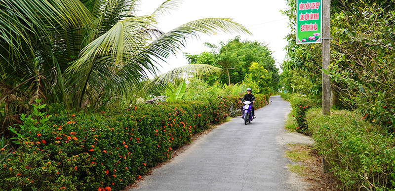 Đoạn đường có hàng rào cây xanh sạch, đẹp.