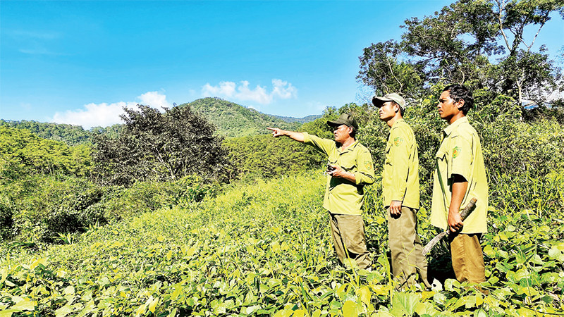 "Khi bị thương, tôi chỉ lo cho anh em..."