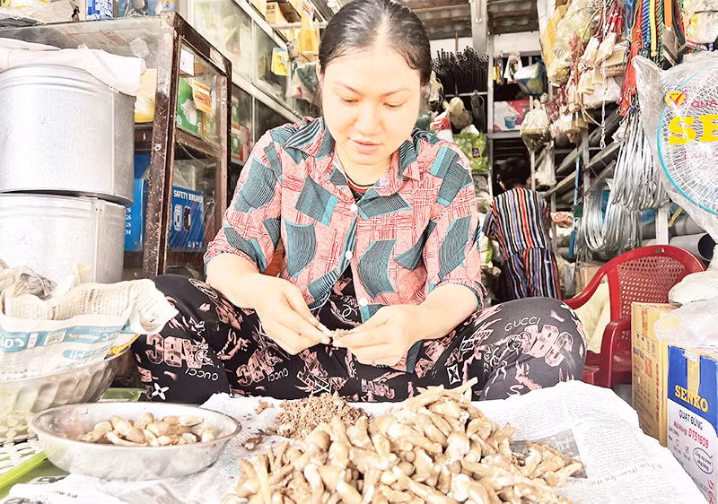 Người dân làm sạch, sơ chế nấm mối.