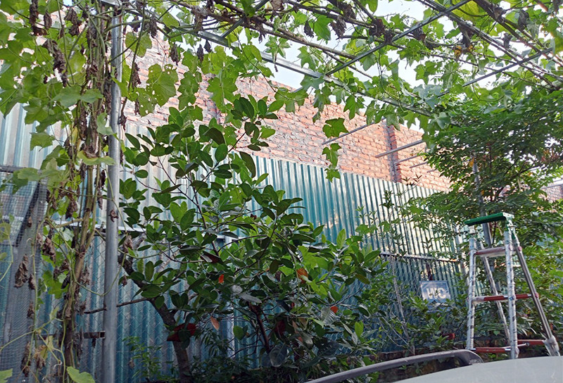 Một công trình tự ý xây dựng lấn chiếm trên diện tích đất lâm nghiệp.