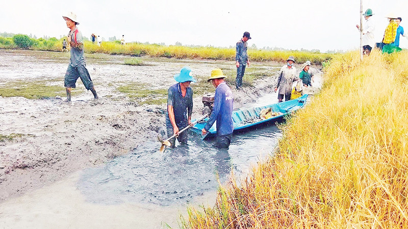 Tỉnh Bạc Liêu hiện có hơn 39.600 ha sản xuất theo mô hình lúa-tôm.
