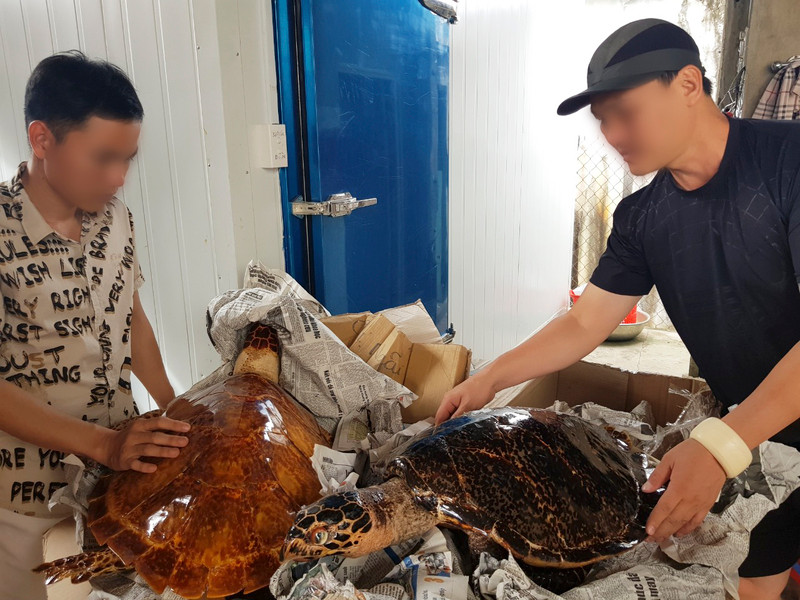 Tang vật thu giữ trong một vụ án buôn bán trái phép động vật hoang dã.