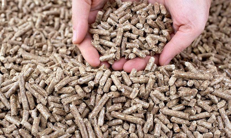 Năm 2022, cả nước có thể đạt kim ngạch xuất khẩu khoảng 700 triệu USD từ viên nén gỗ.