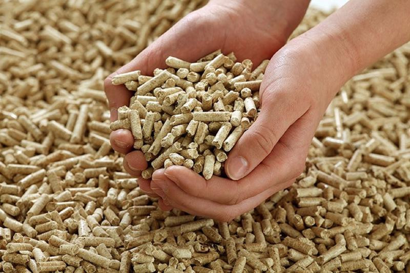 95% sản lượng viên nén xuất khẩu sang thị trường Nhật Bản và Hàn Quốc.