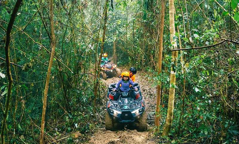 Du khách đua xe địa hình trong rừng lim Tân Hóa (Quảng Bình).