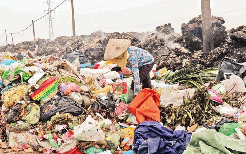 Ảnh minh họa nhandan.vn