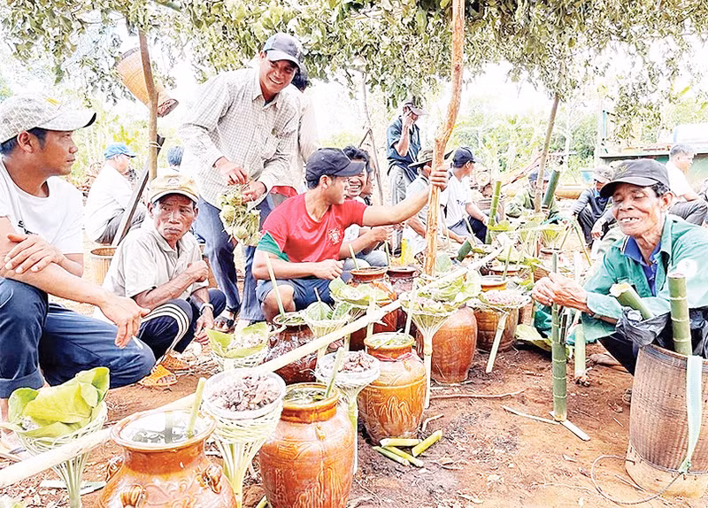 Ẩm thực trong lễ Pơ thi (bỏ mả) của người dân làng Lút, xã Ia Phí, huyện Chư Păh, tỉnh Gia Lai.