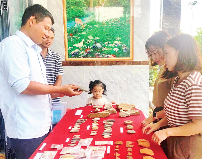 Trưng bày di vật được phát hiện tại Di tích thôn 12, xã Đắk Sin, huyện Đắk R’Lấp, tỉnh Đắk Nông.