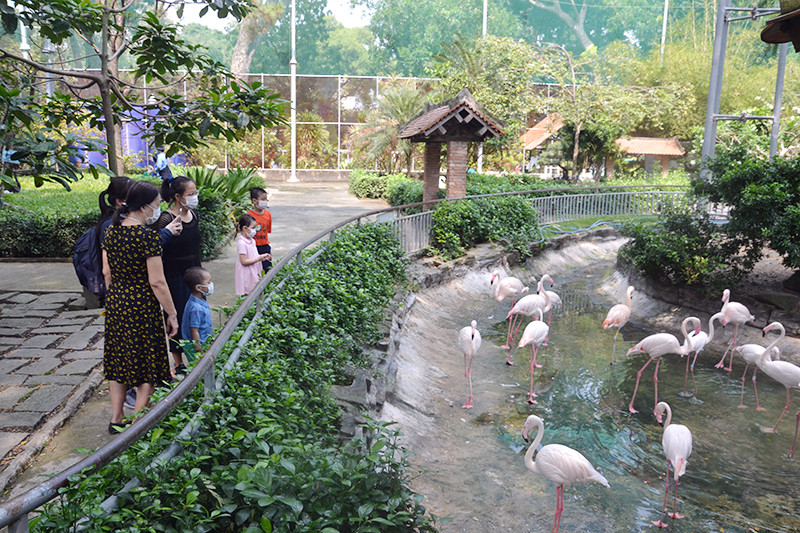 Du khách tham quan Thảo Cầm Viên Sài Gòn.