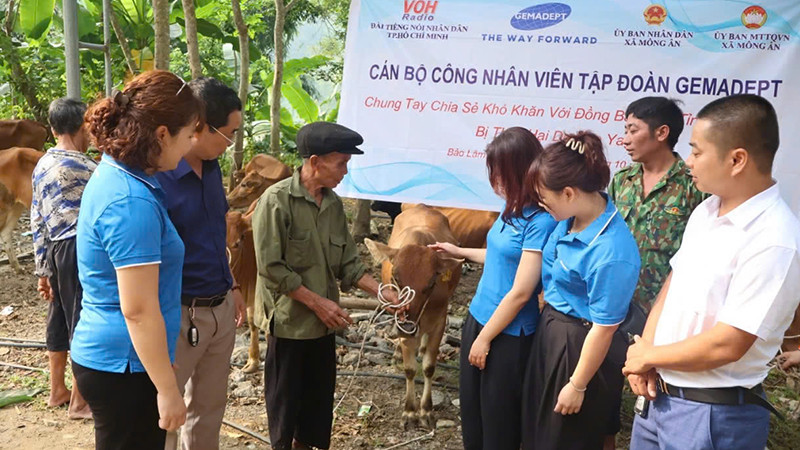 Các hộ gia đình đặc biệt khó khăn tại xã Mông Ân, huyện Bảo Lâm, tỉnh Cao Bằng nhận bò giống tái sản xuất sau thiên tai do Tập đoàn Gemadept trao tặng.