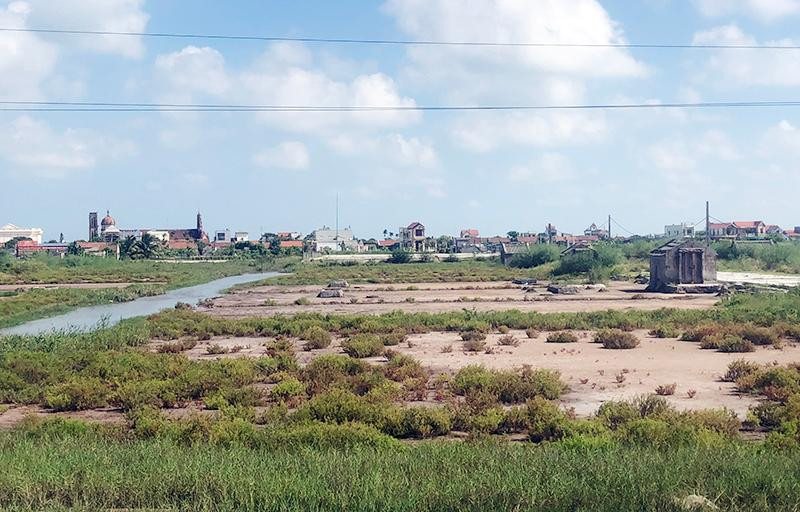 Cánh đồng muối xã Hải Lý, huyện Hải Hậu, tỉnh Nam Định đang bị bỏ hoang.