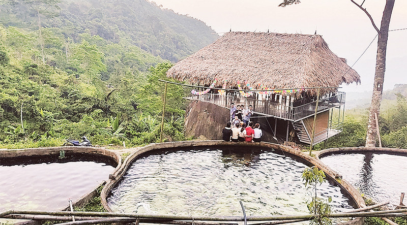 Điểm nuôi cá trên đỉnh núi cao Pù Lầu trở thành điểm du lịch sinh thái độc đáo, thú vị. (Ảnh ANH THÚY)